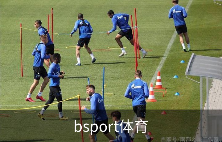 bsport体育概况